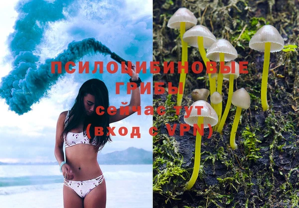не бодяженный Богородск