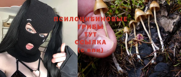 не бодяженный Богородск